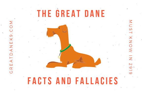 Greatdane-Facts-And-Fallacies-2019