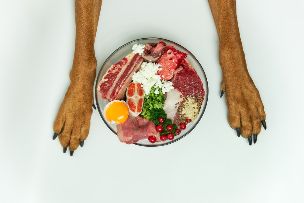 Great Dane Raw Diet The Complete And Extensive Guide Great Dane K9