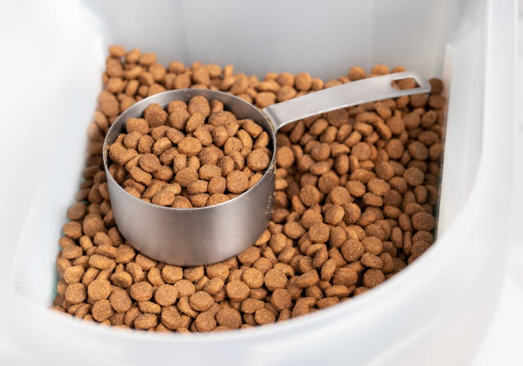 Kibbles With Measuring Cup Inside Larger Food Storage Bucket