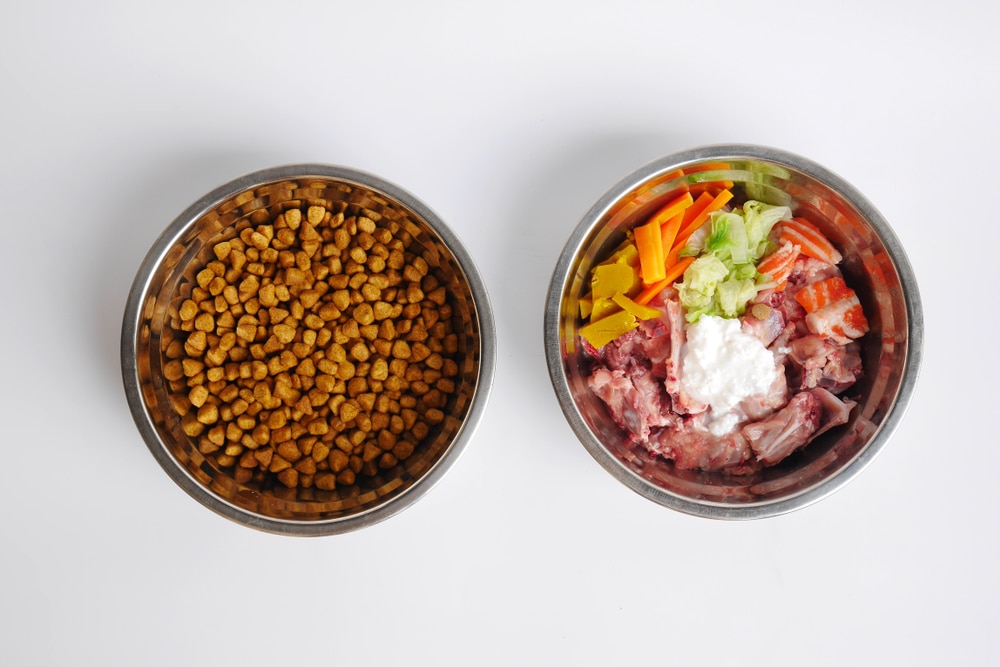 Two Types Of Food For Dogs. Barf Model And Dry Food For Dogs