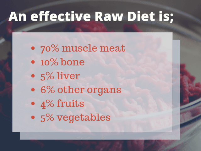 An Effective Raw Diet