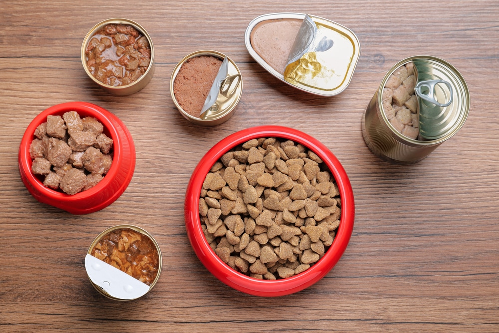 Different Types Of Great Dane Puppy Food