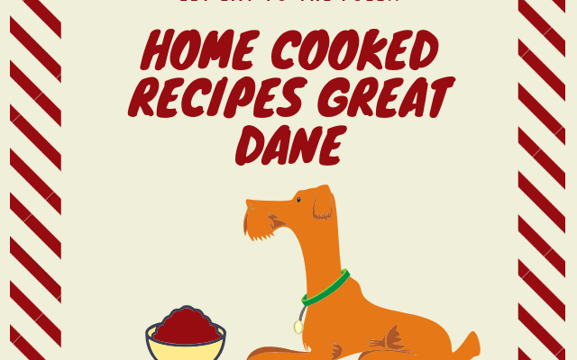 home-cooked-recieps-for-great-danes