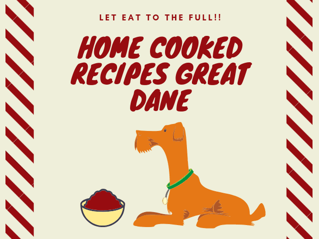 Great Dane Dog Food Recipe