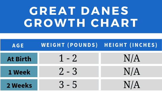 A Typical Great Dane Growth Chart