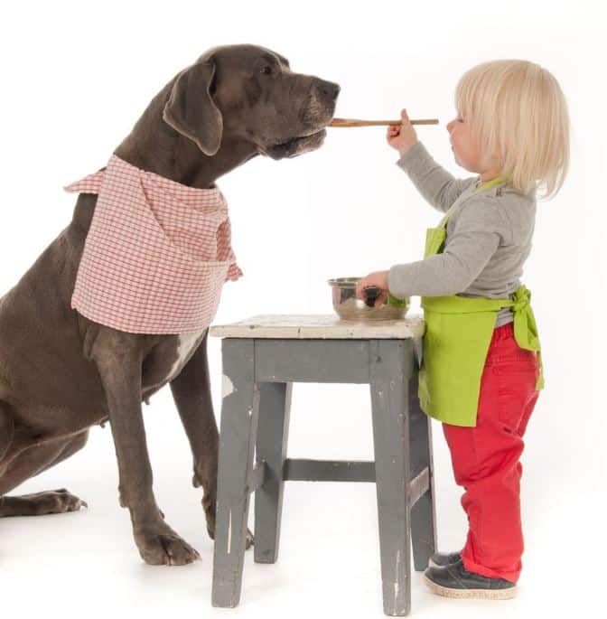 Great-Dane-With-Kids