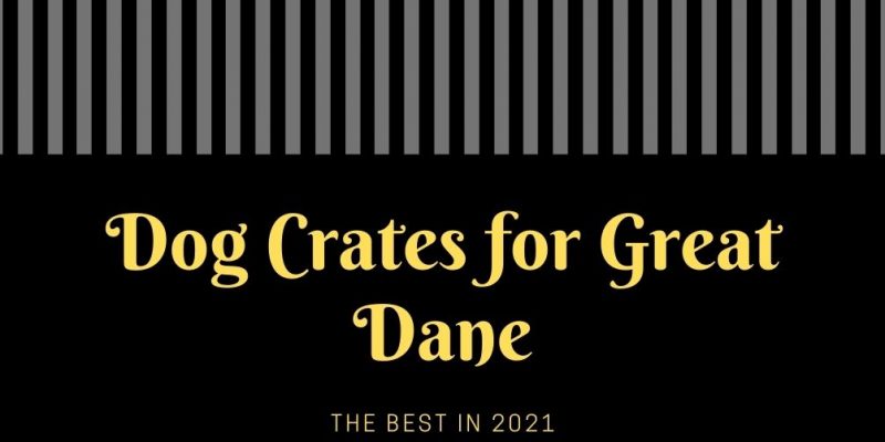 dog-crates-great-dane