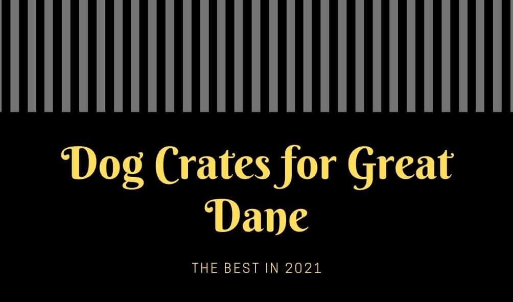 Dog-Crates-Great-Dane