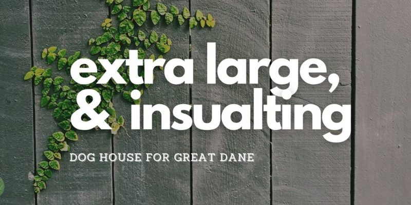 extra-large-dog-house-great-dane