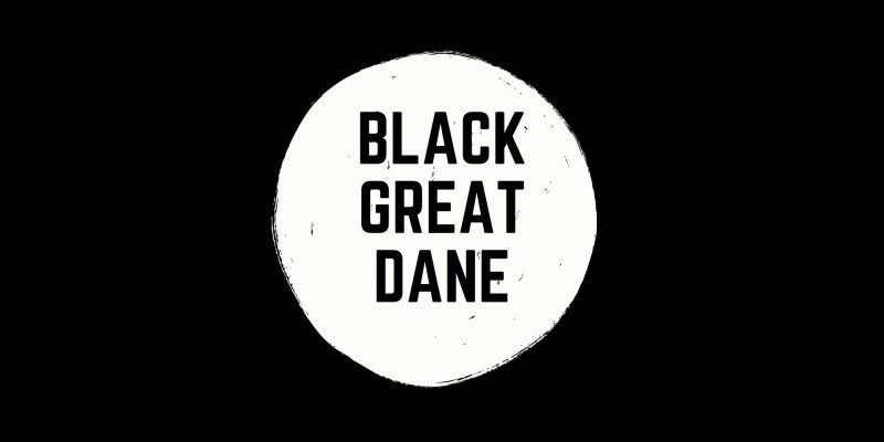 black-great-dane-title