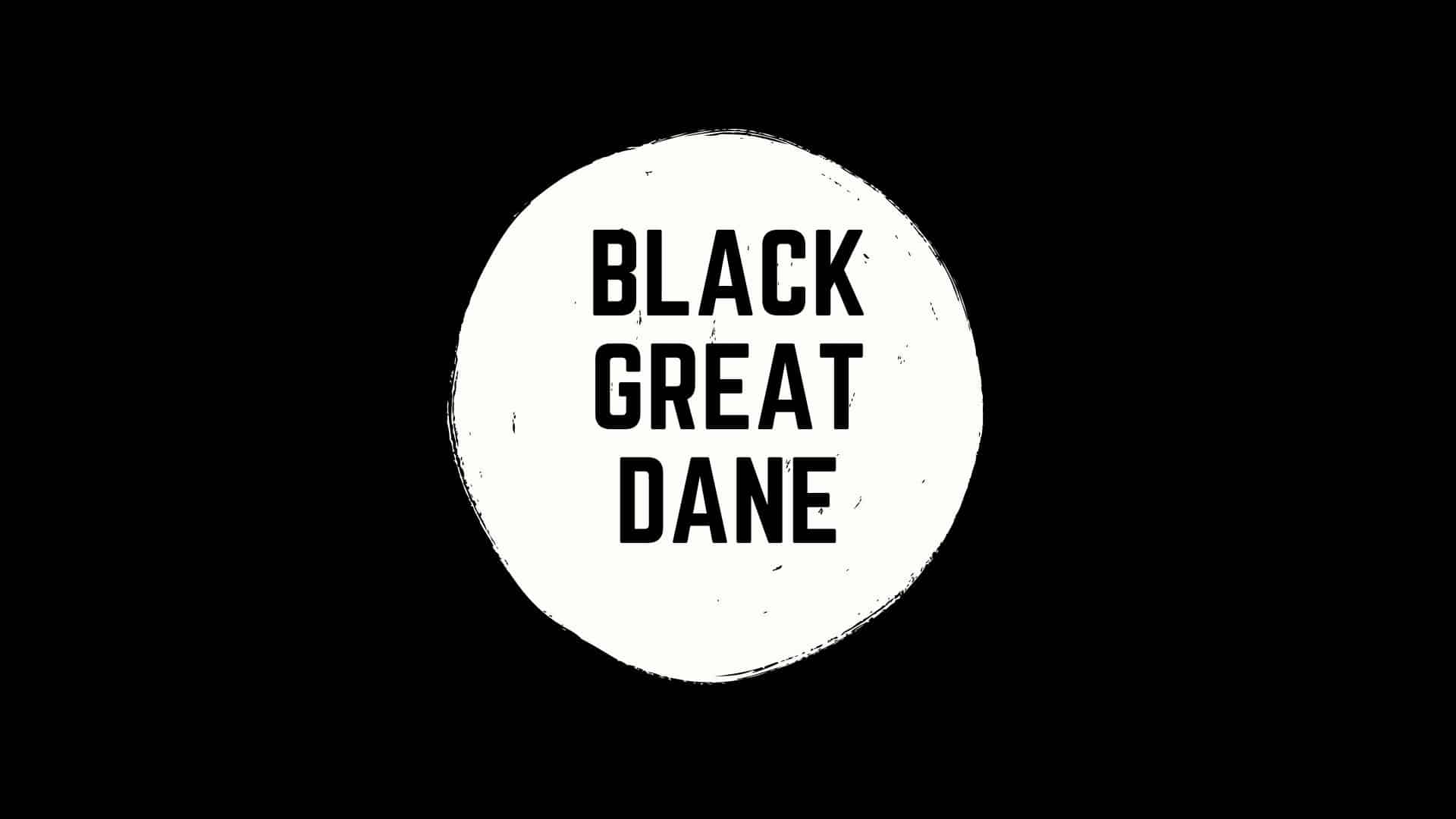 Black-Great-Dane-Title