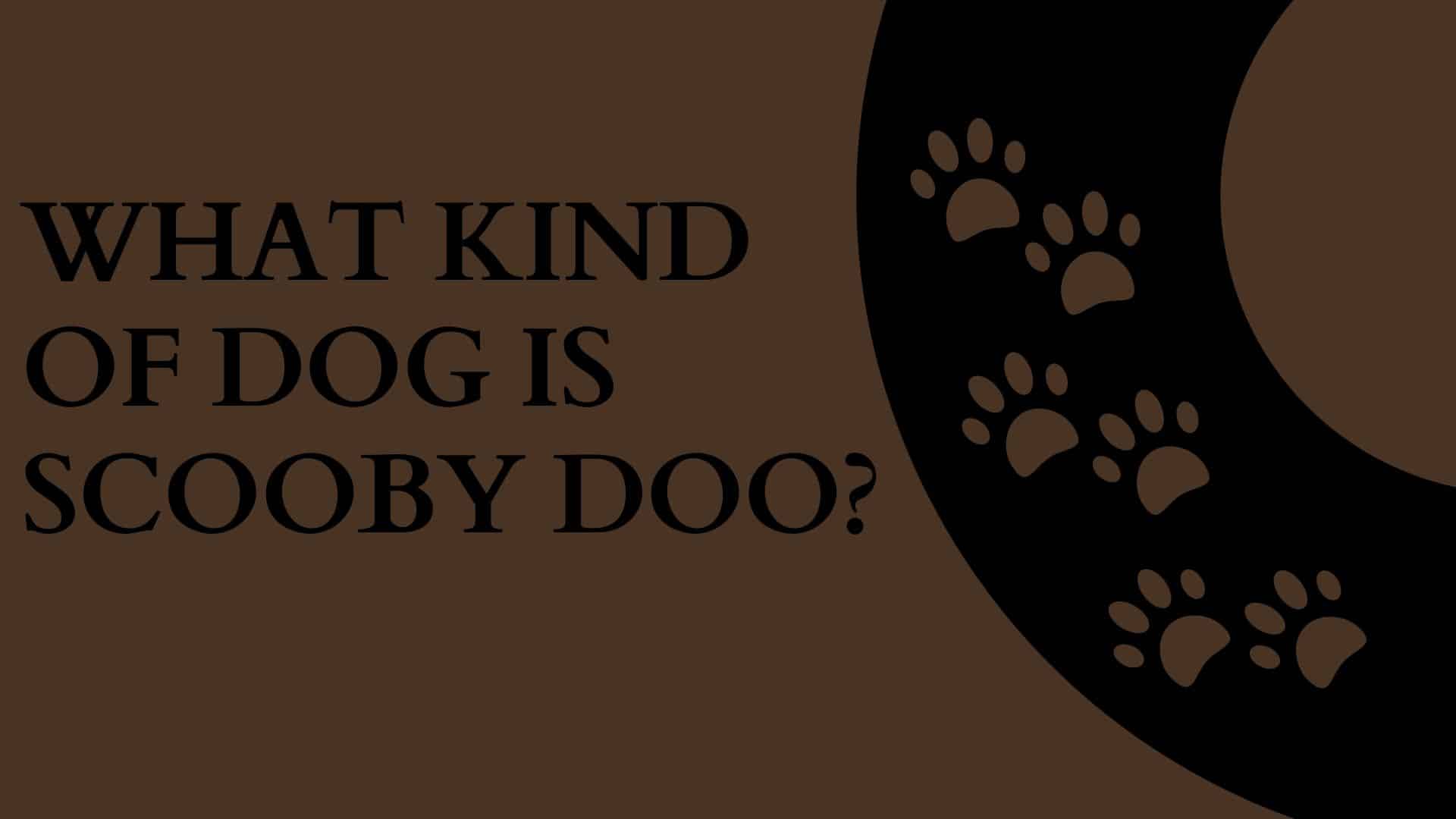 Scooby-Doo-Dog.jpg