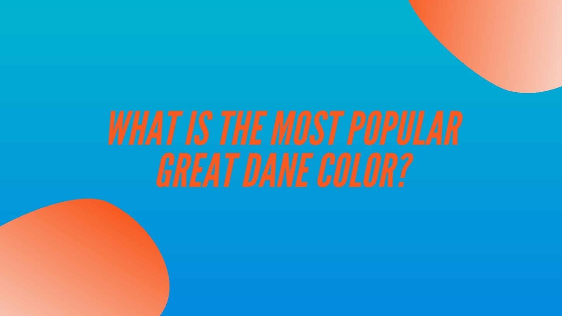 Popular-Great-Dane-Color.jpg